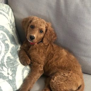 Meet your Posher, Kate